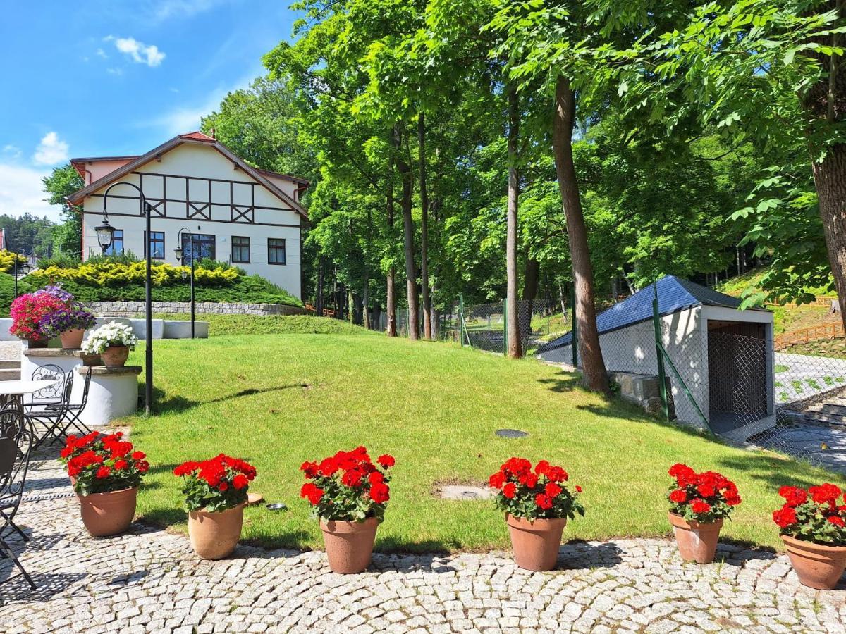 Pensjonat Petite Charlotta Jedlina-Zdroj Exterior foto